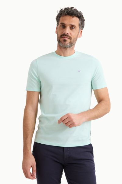 Camiseta clasica básica Williot turquesa